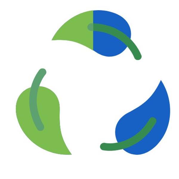 Current Image