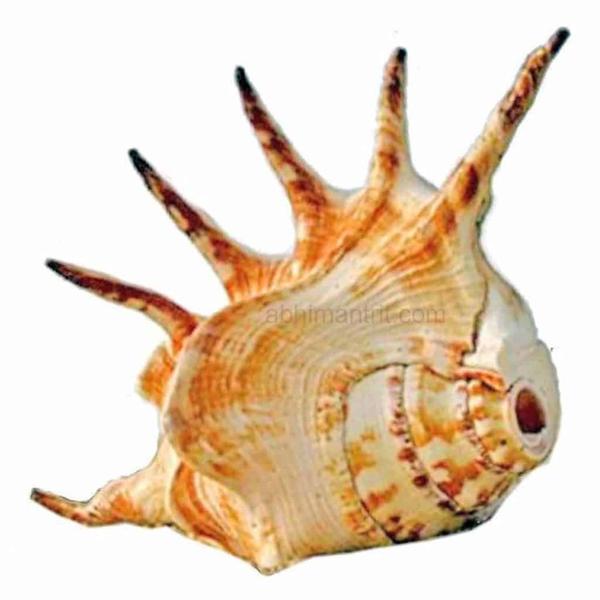 Current Image