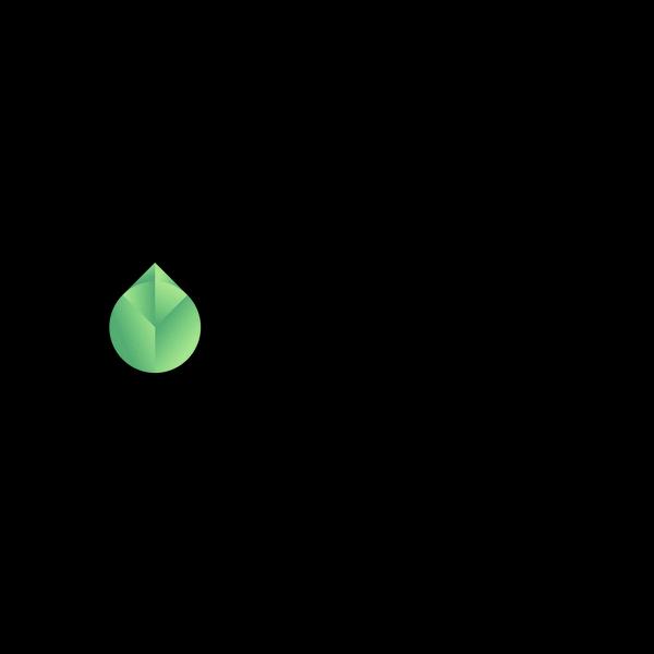 Current Image