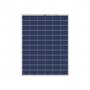 Luminous Solar Panel 100 Watt - 12 Volt Poly Module (Pack of 2)